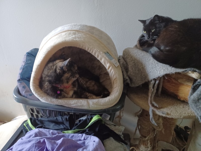 Didi uploaded   2  day/s  ago