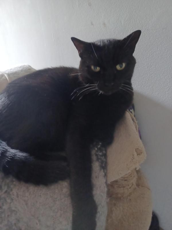 Didi uploaded   174  day/s  ago