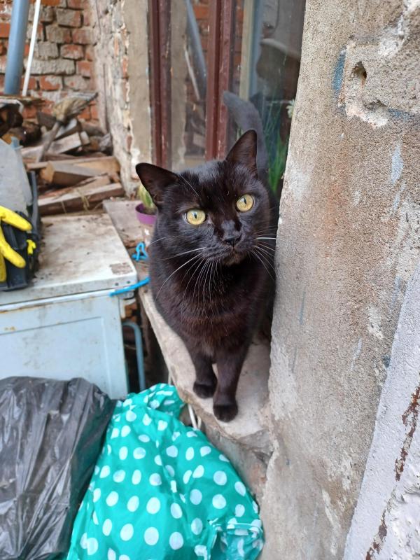 Didi uploaded   1 year/s ago