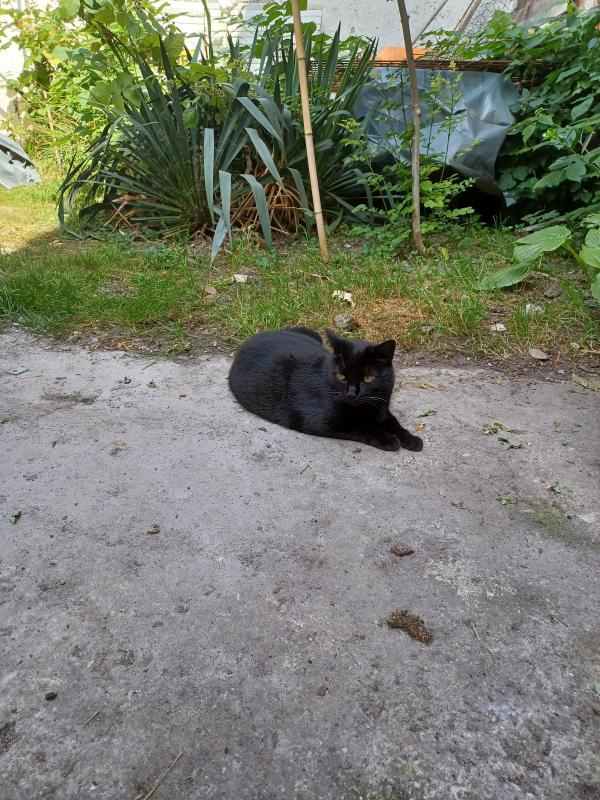 Didi uploaded   305  day/s  ago