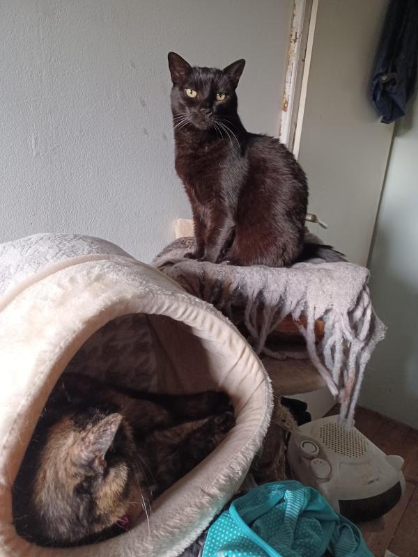 Didi uploaded   226  day/s  ago