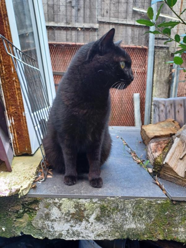 Didi uploaded   174  day/s  ago