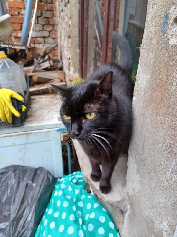 Didi uploaded   1 year/s ago