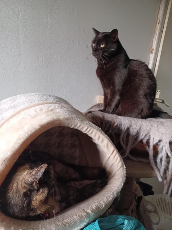 Didi uploaded   226  day/s  ago