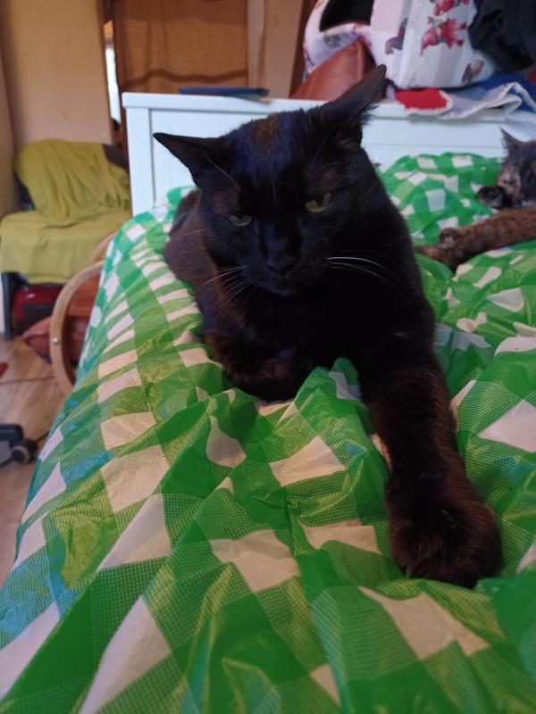 Didi uploaded   1 year/s ago