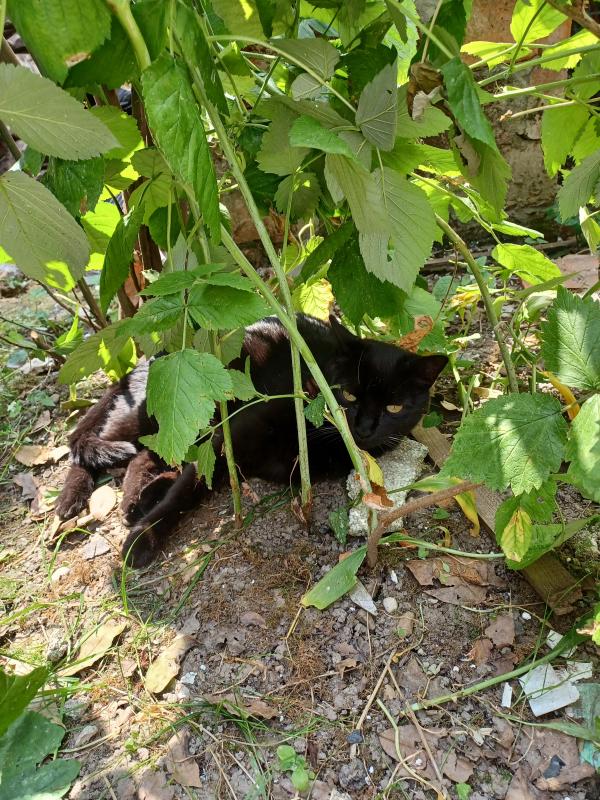 Didi uploaded   305  day/s  ago