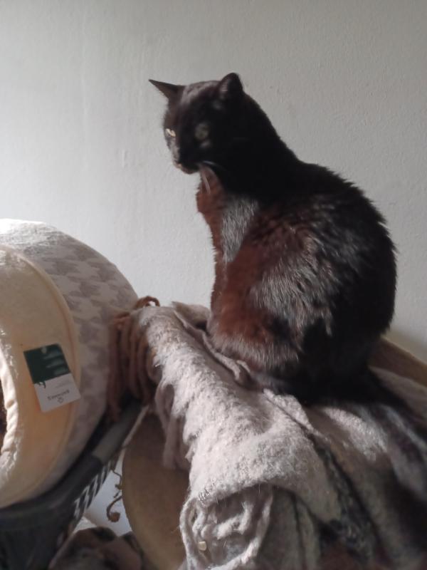 Didi uploaded   226  day/s  ago