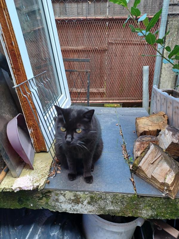 Didi uploaded   174  day/s  ago