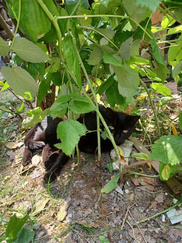 Didi uploaded   305  day/s  ago