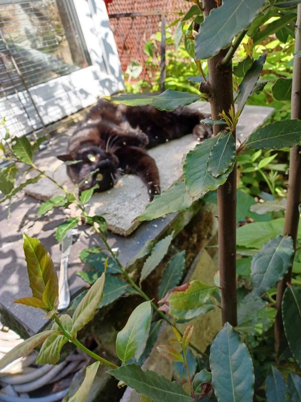 Didi uploaded   305  day/s  ago