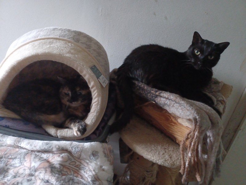 Didi uploaded   2  day/s  ago