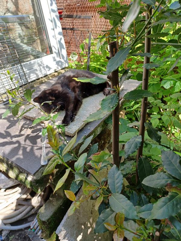 Didi uploaded   305  day/s  ago