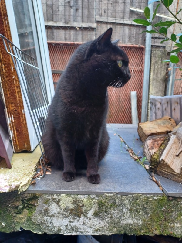 Didi uploaded   2  day/s  ago