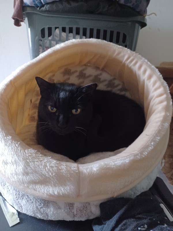 Didi uploaded   1 year/s ago