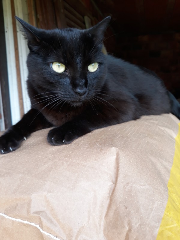 Didi uploaded   1 year/s ago