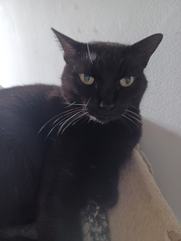 Didi uploaded   2  day/s  ago