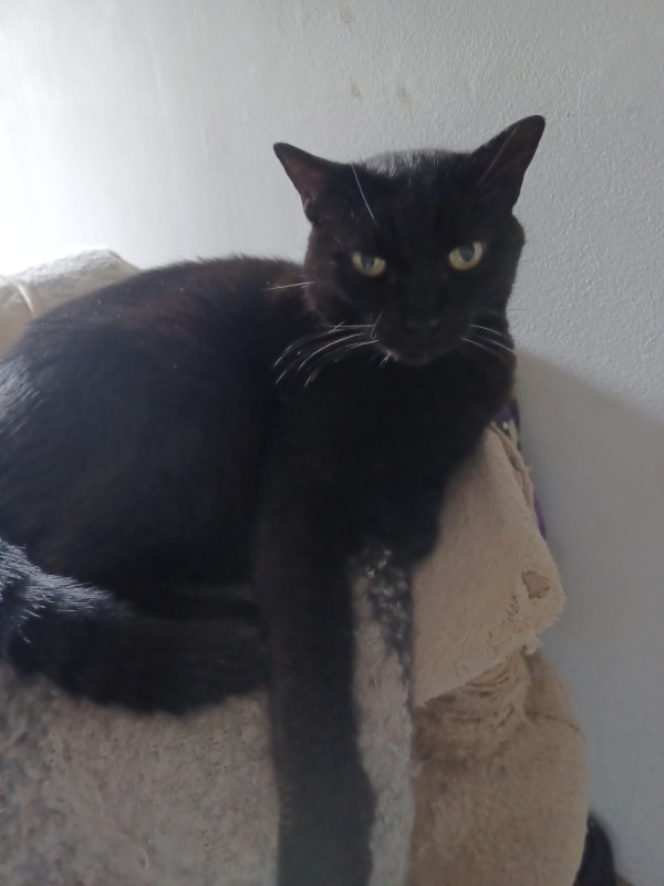 Didi uploaded   2  day/s  ago