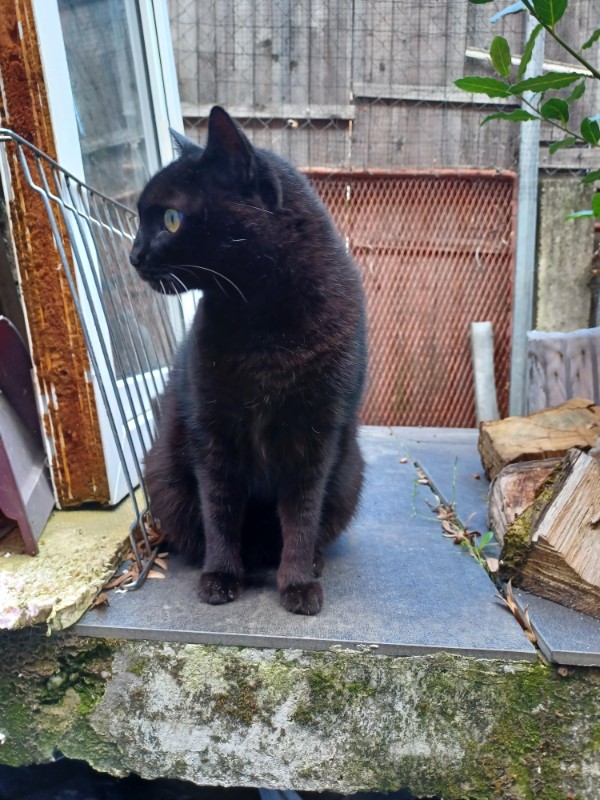 Didi uploaded   2  day/s  ago