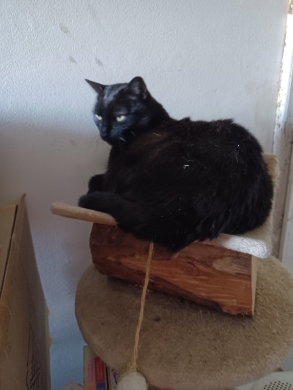 Didi uploaded   1 year/s ago