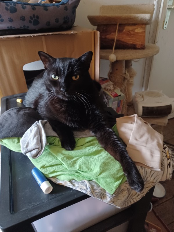 Didi uploaded   1 year/s ago