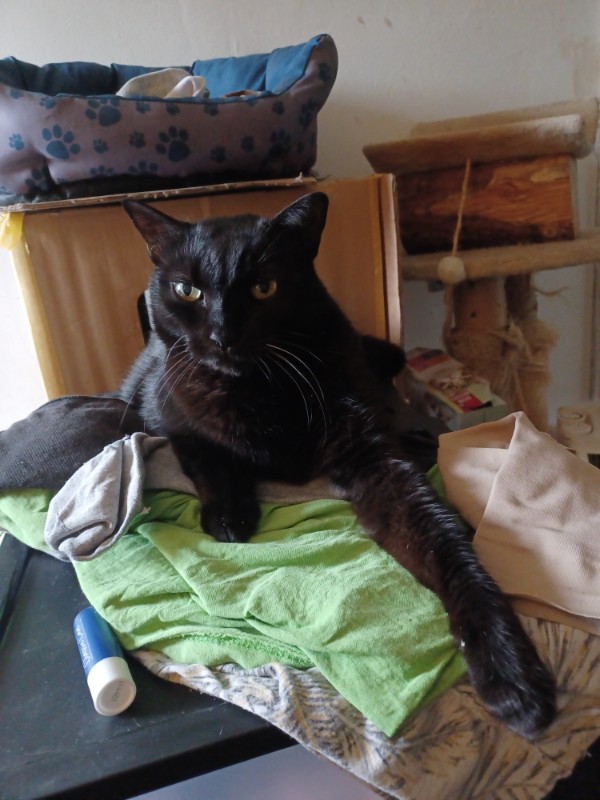 Didi uploaded   1 year/s ago