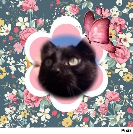 Nera of the Didi family