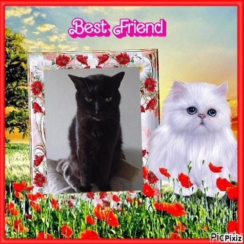 Nera of the Didi family