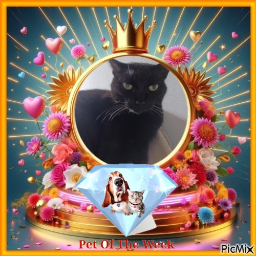 Nera of the Didi family