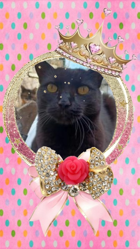 Nera of the Didi family