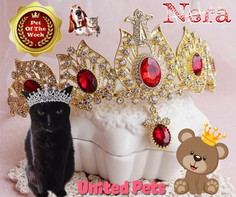 Nera of the Didi family