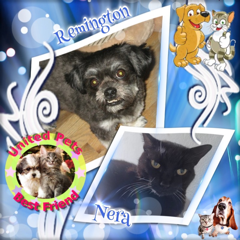 Nera of the Didi family