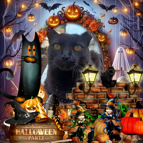 Nera of the Didi family