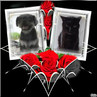 Nera of the Didi family