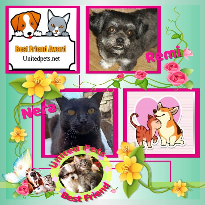 Nera of the Didi family