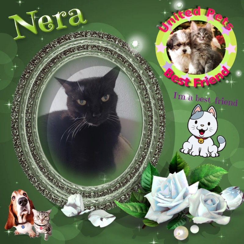 Nera of the Didi family
