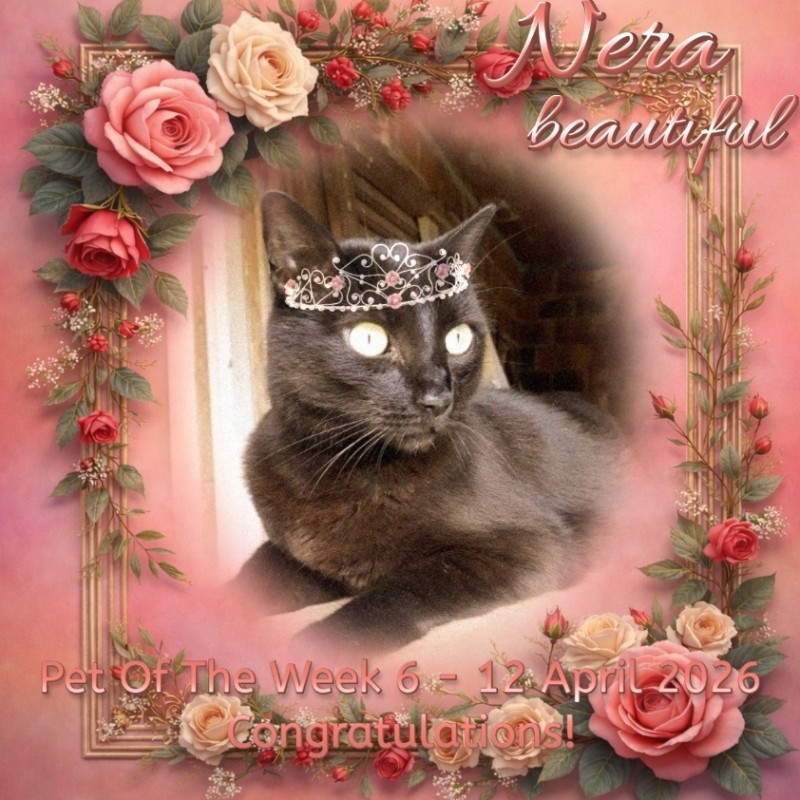 Nera of the Didi family