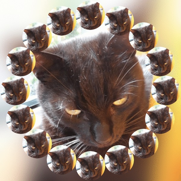 Nera of the Didi family