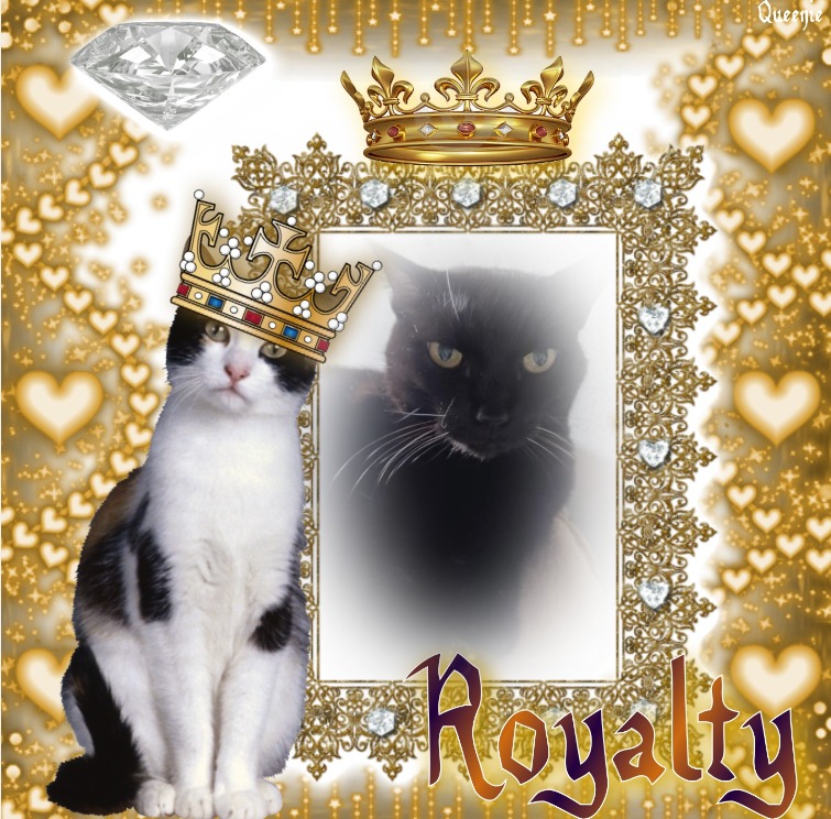 Nera of the Didi family