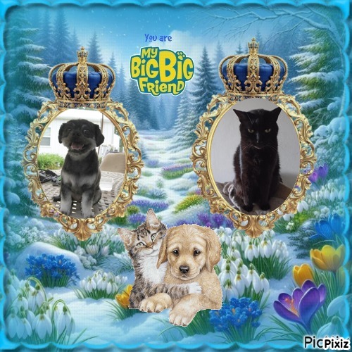 Nera of the Didi family