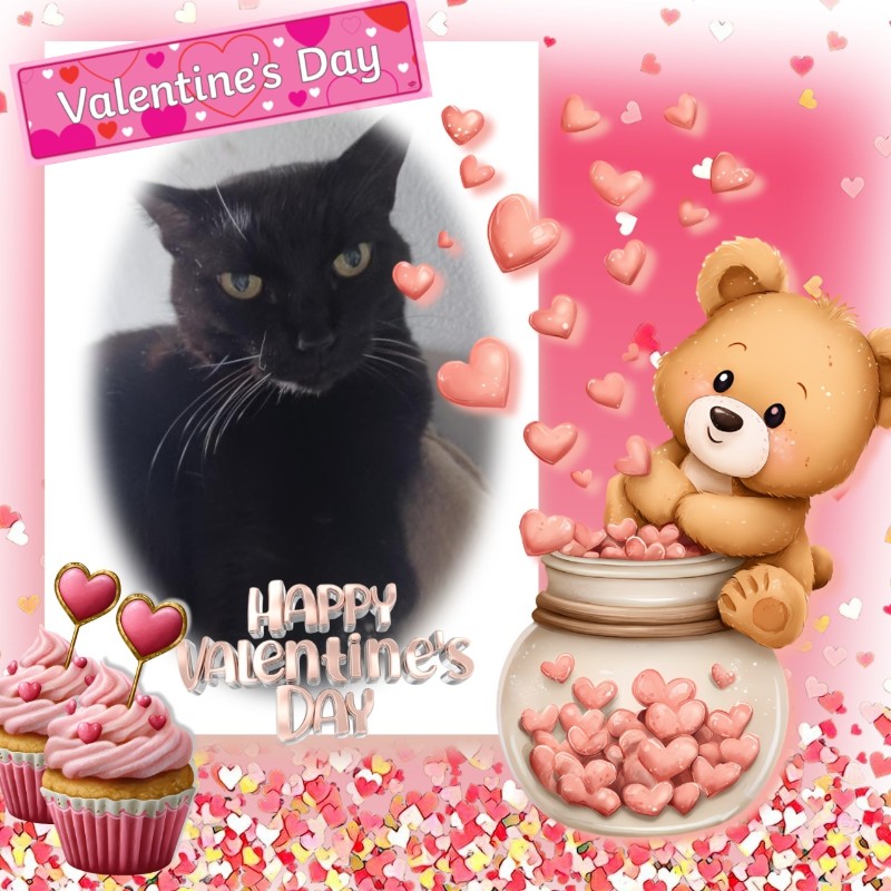 Nera of the Didi family