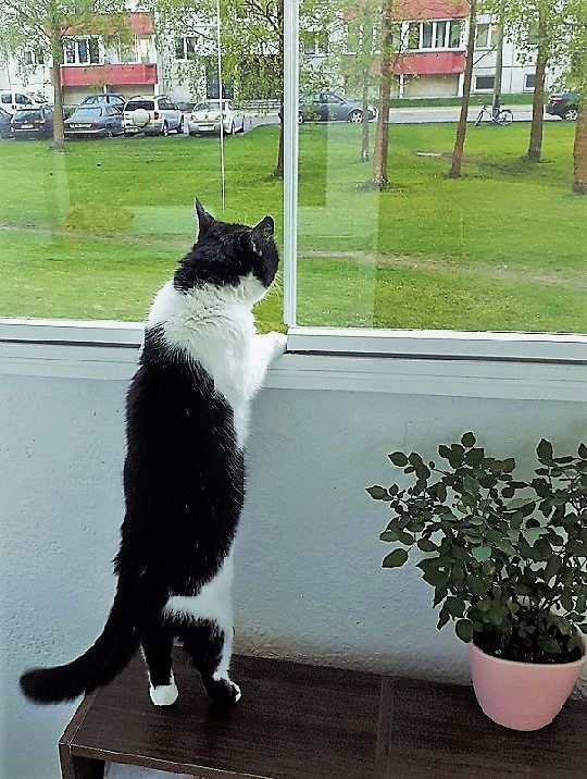 Eha2013 uploaded   6 year/s ago