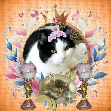 Susan of the Eha2013 family