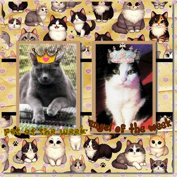 Susan of the Eha2013 family