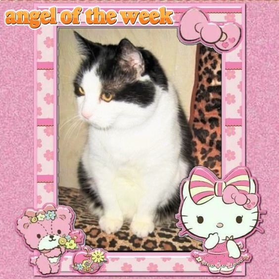 Susan of the Eha2013 family