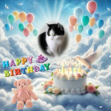 Susan of the Eha2013 family