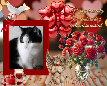 Susan of the Eha2013 family