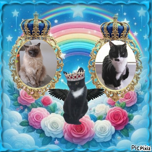 Zuzi of the Eha2013 family