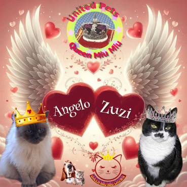 Zuzi of the Eha2013 family