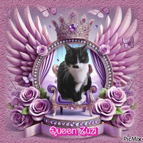 Zuzi of the Eha2013 family