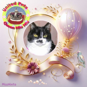 Zuzi of the Eha2013 family